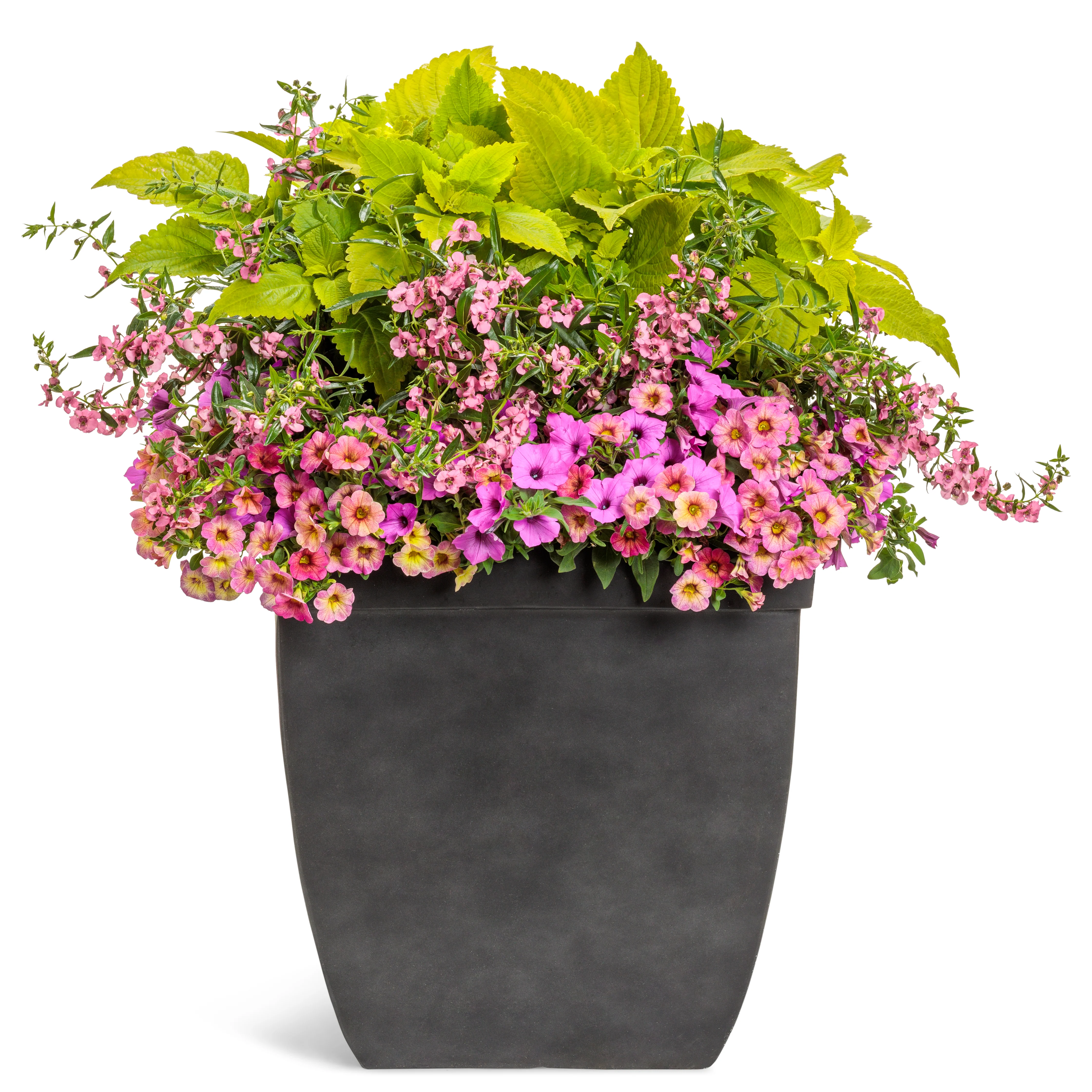 AquaPots® Lite Urban - Courtyard - Image 2
