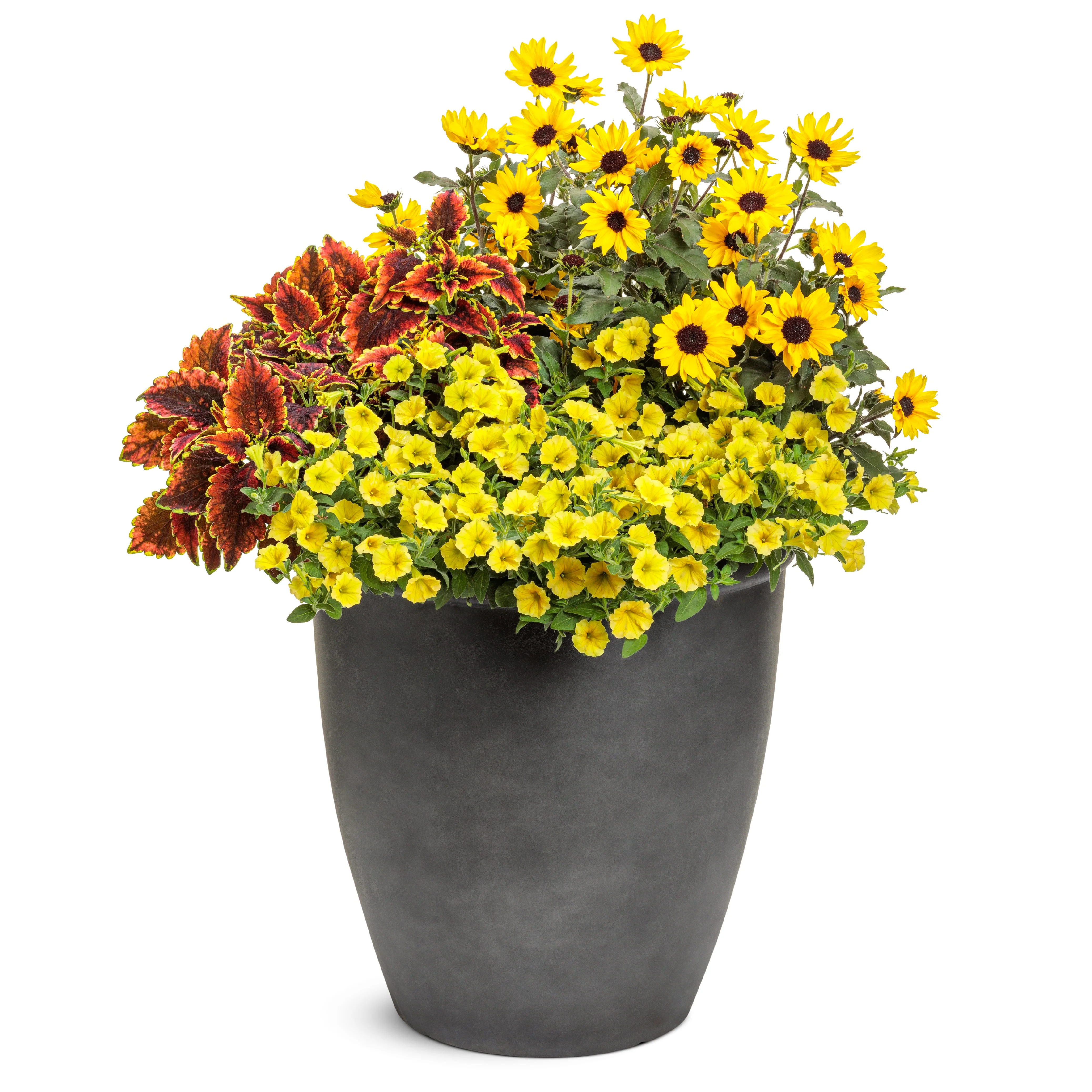 AquaPots® Lite Urban - Parkside - Image 2