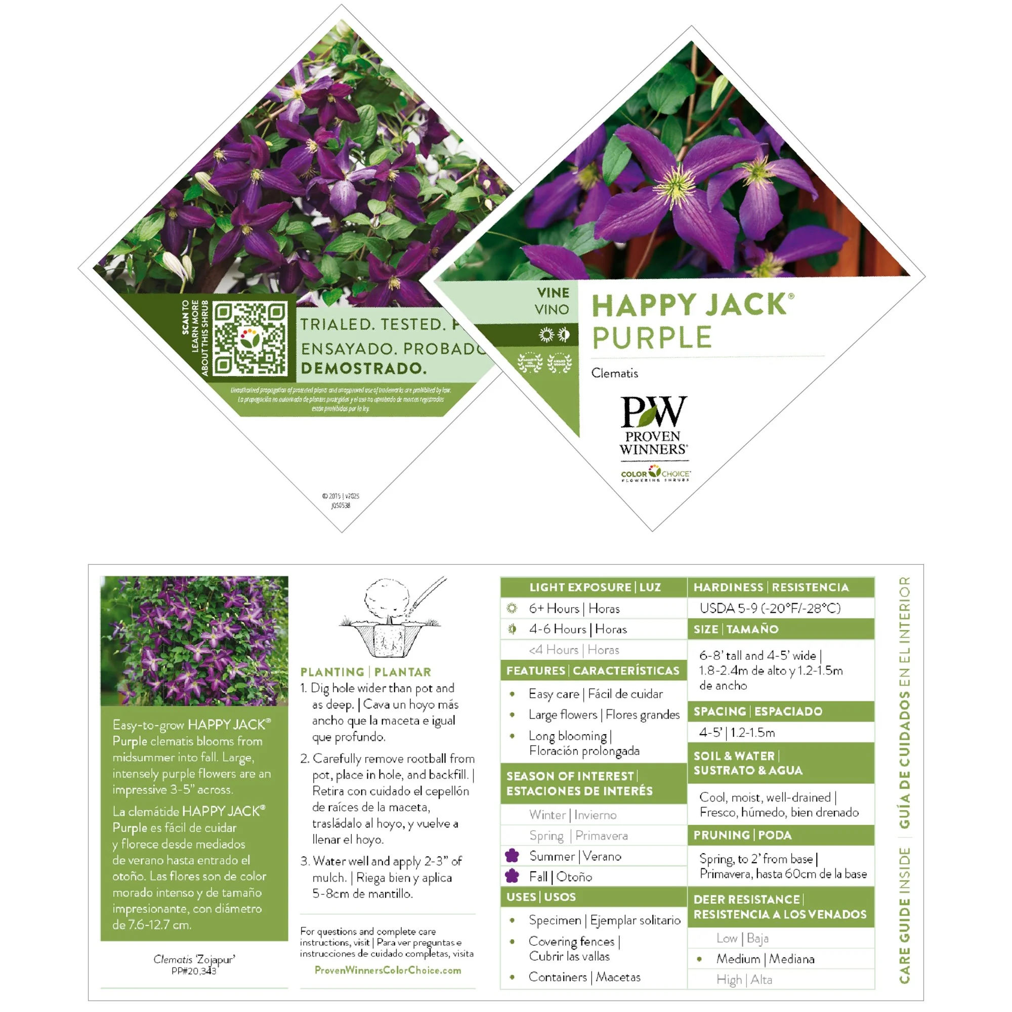 Happy Jack® Purple Clematis - Image 9