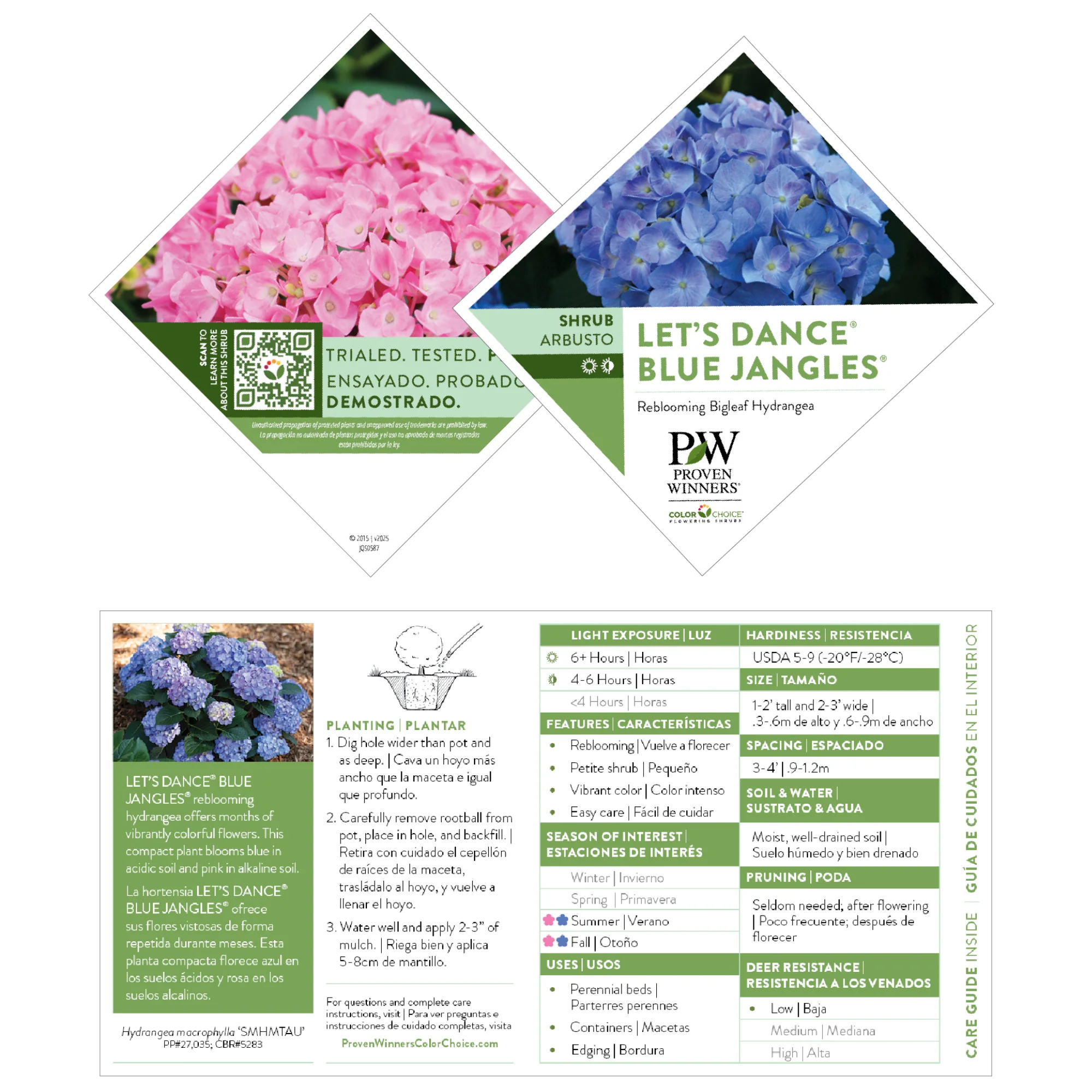Let's Dance® Blue Jangles® Reblooming Hydrangea (macrophylla) - Image 9