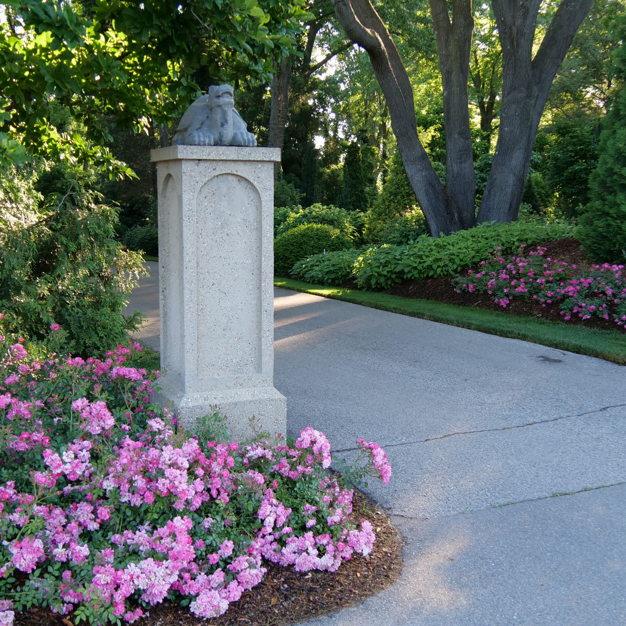 Oso Easy® Double Pink Rose - Image 5