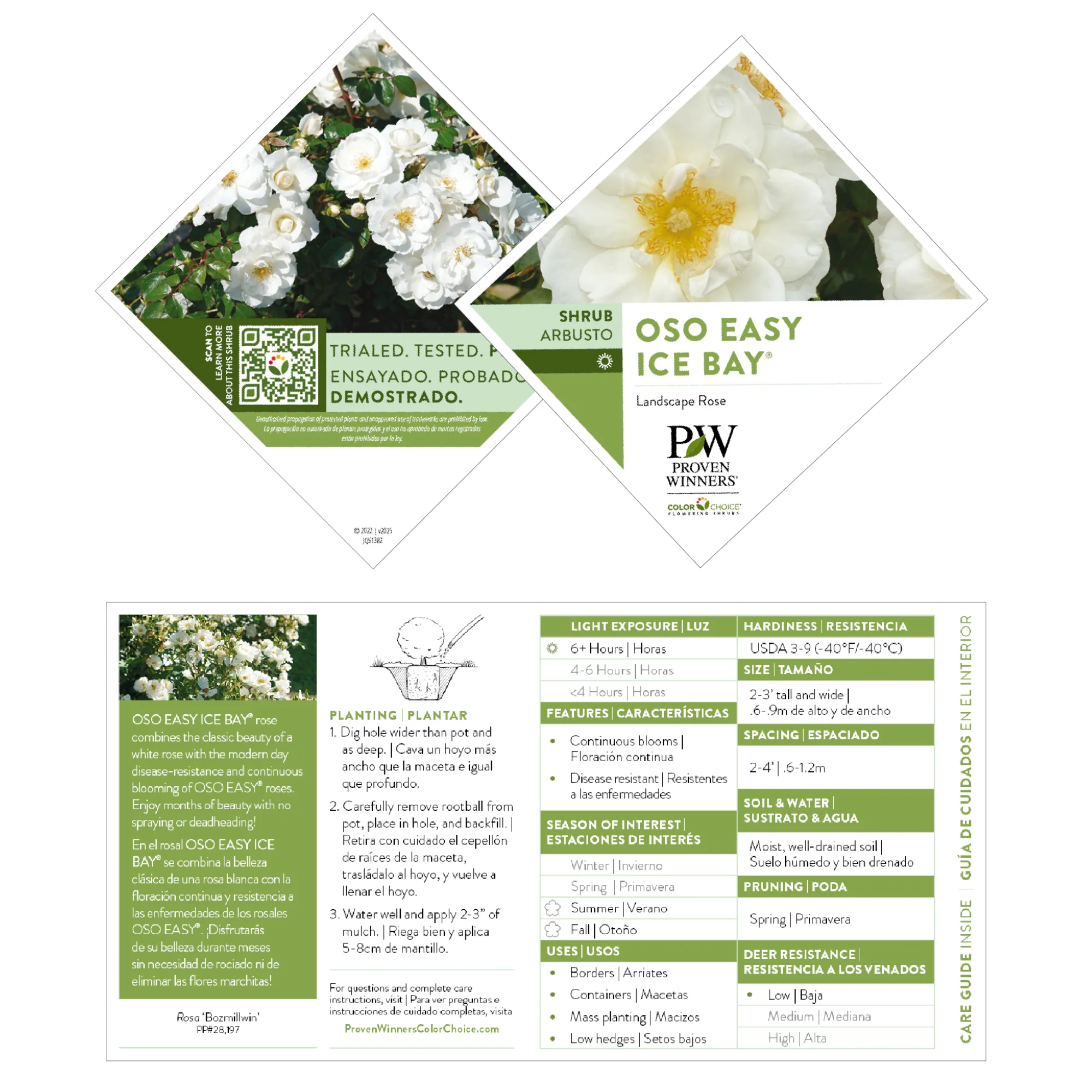 Oso Easy Ice Bay® Rose - Image 7