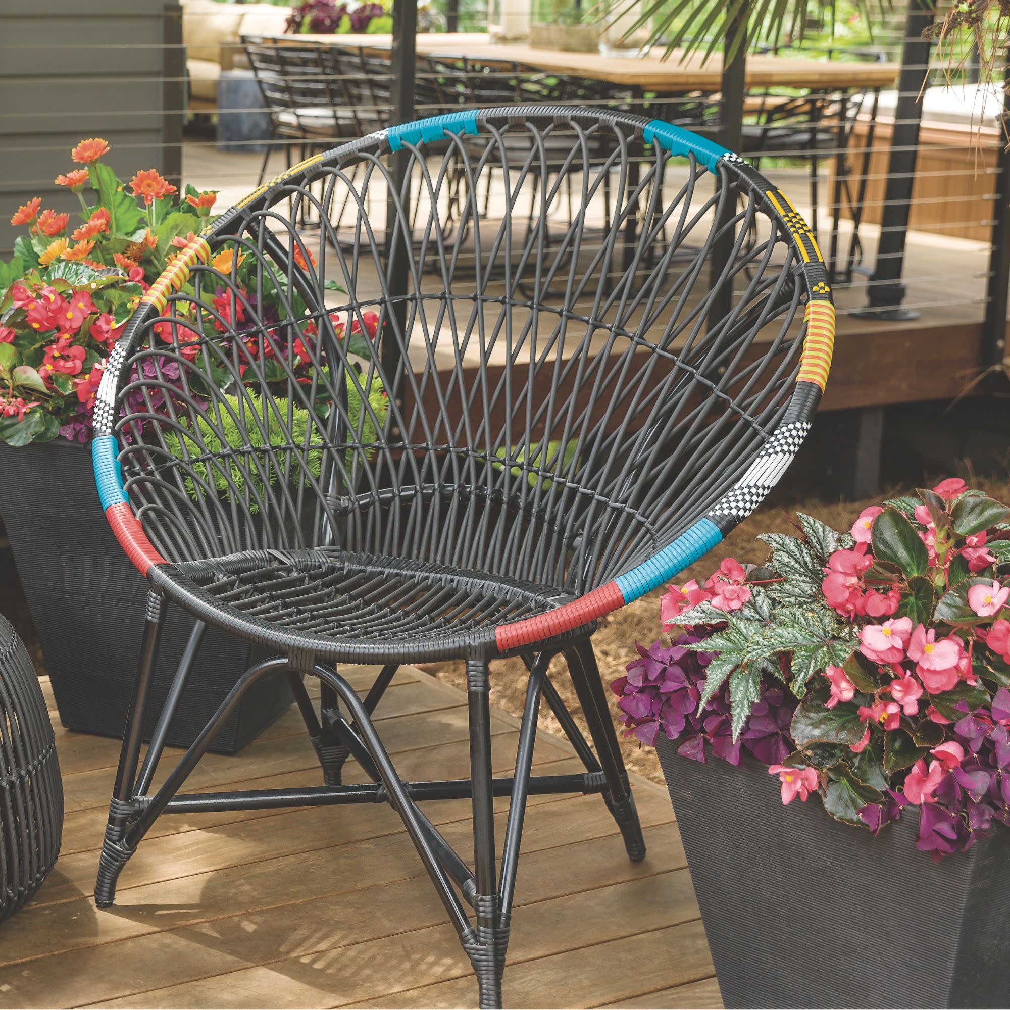 Pegasus® Begonia - Image 5