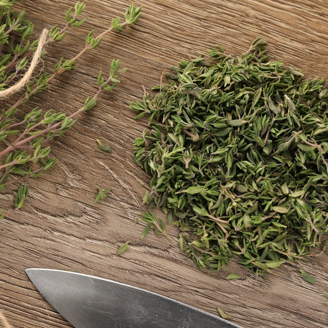 Proven Selections® Aromatic Thyme (Thymus odoratissimus) - Image 6