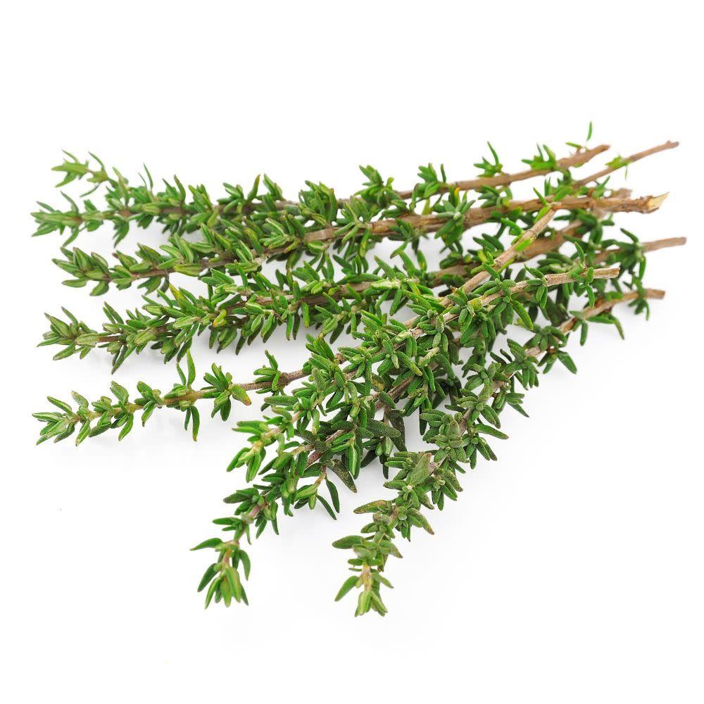 Proven Selections® Aromatic Thyme (Thymus odoratissimus) - Image 8