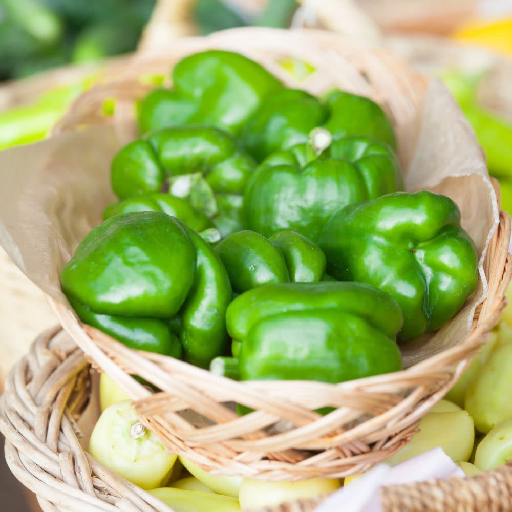 Proven Selections® Bell Boy Bell Pepper (Capsicum annuum) - Image 6