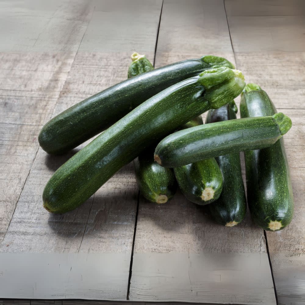 Proven Selections® Black Beauty Zucchini (Cucurbita pepo) - Image 5