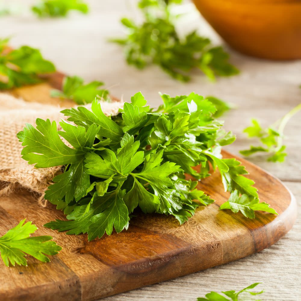Proven Selections® Flat Leaf Parsley (Petroselinum neapolitanum) - Image 6