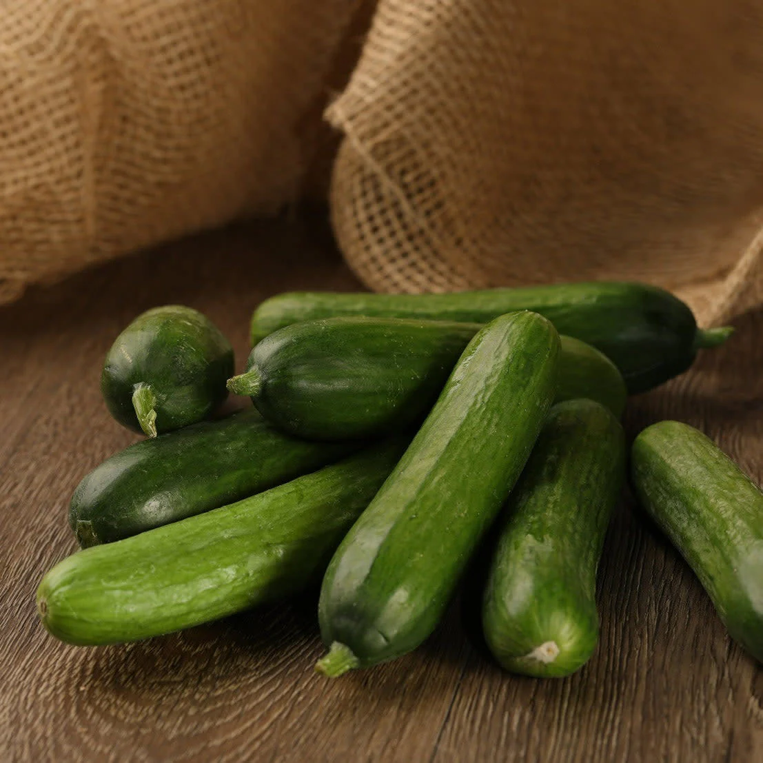 Proven Selections® Muncher Pickling Cucumber (Cucumis sativus) - Image 5