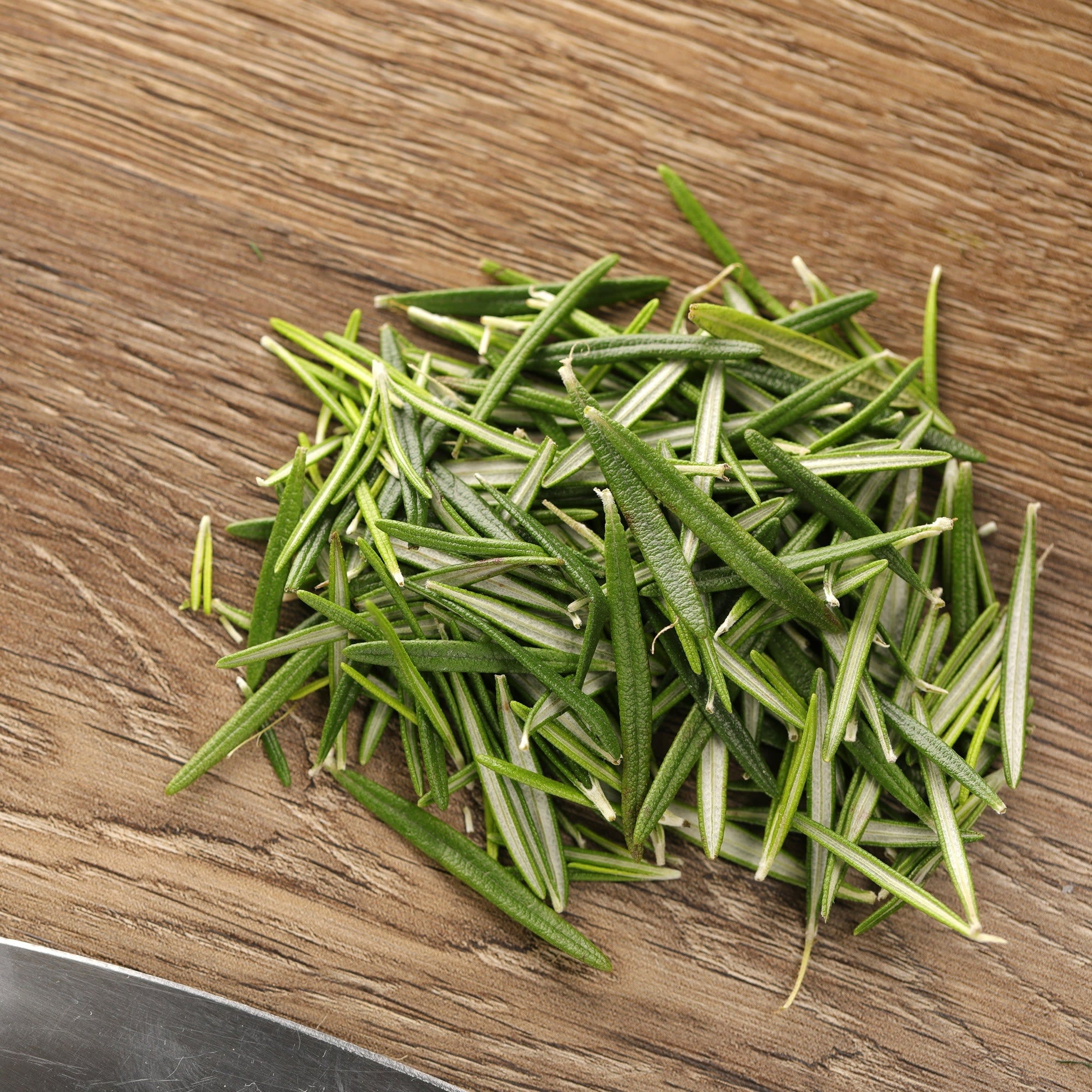 Proven Selections® Prime Rosemary (Salvia rosmarinus)