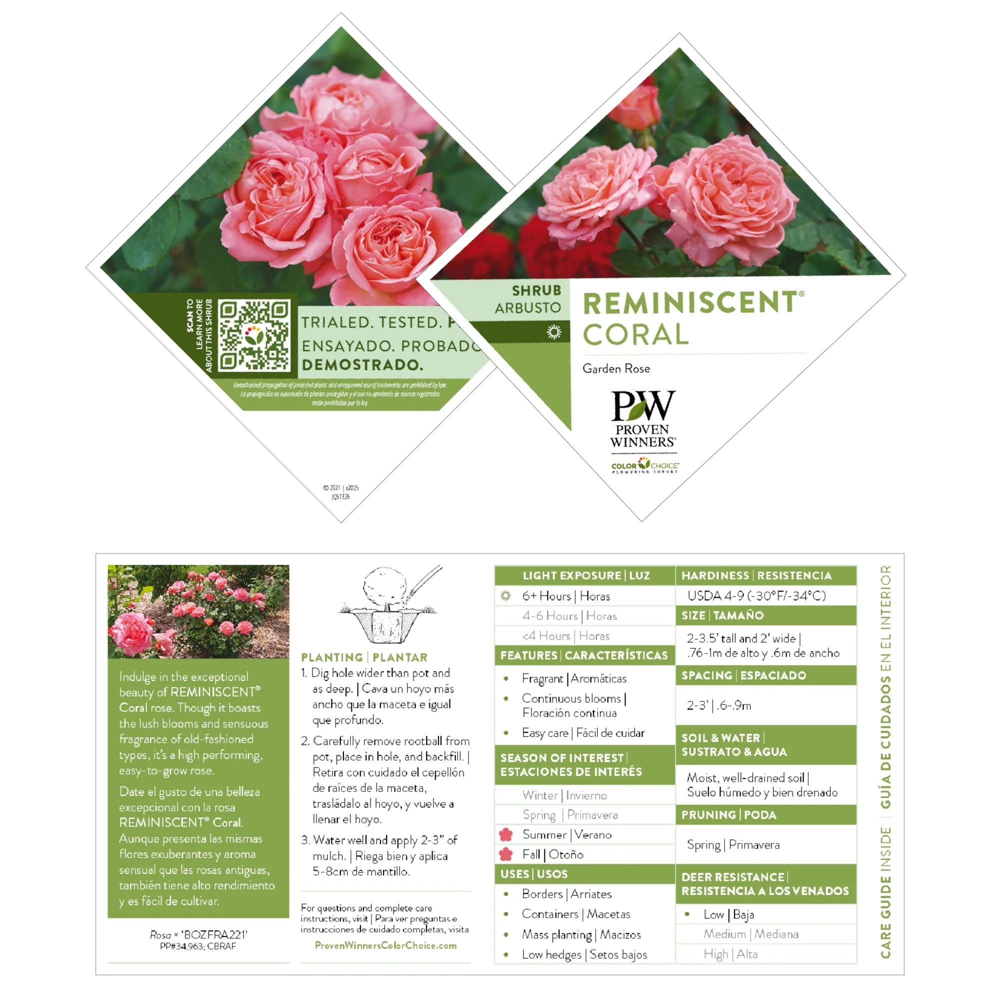 Reminiscent® Coral Rose - Image 7