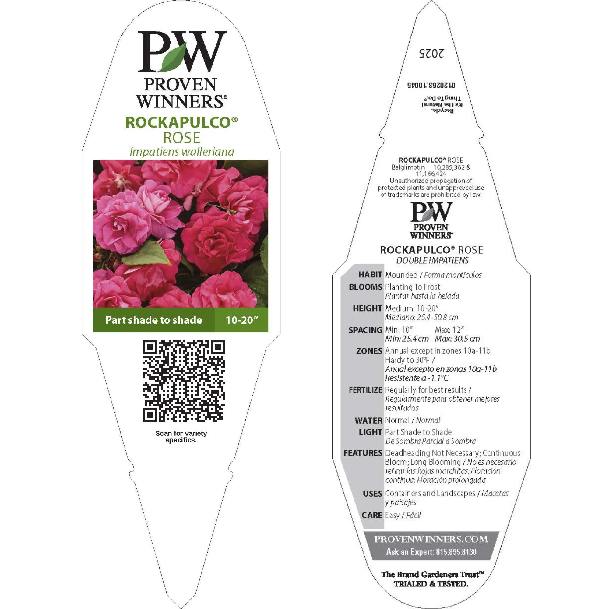 Rockapulco® Rose Double Impatiens (walleriana) - Image 10