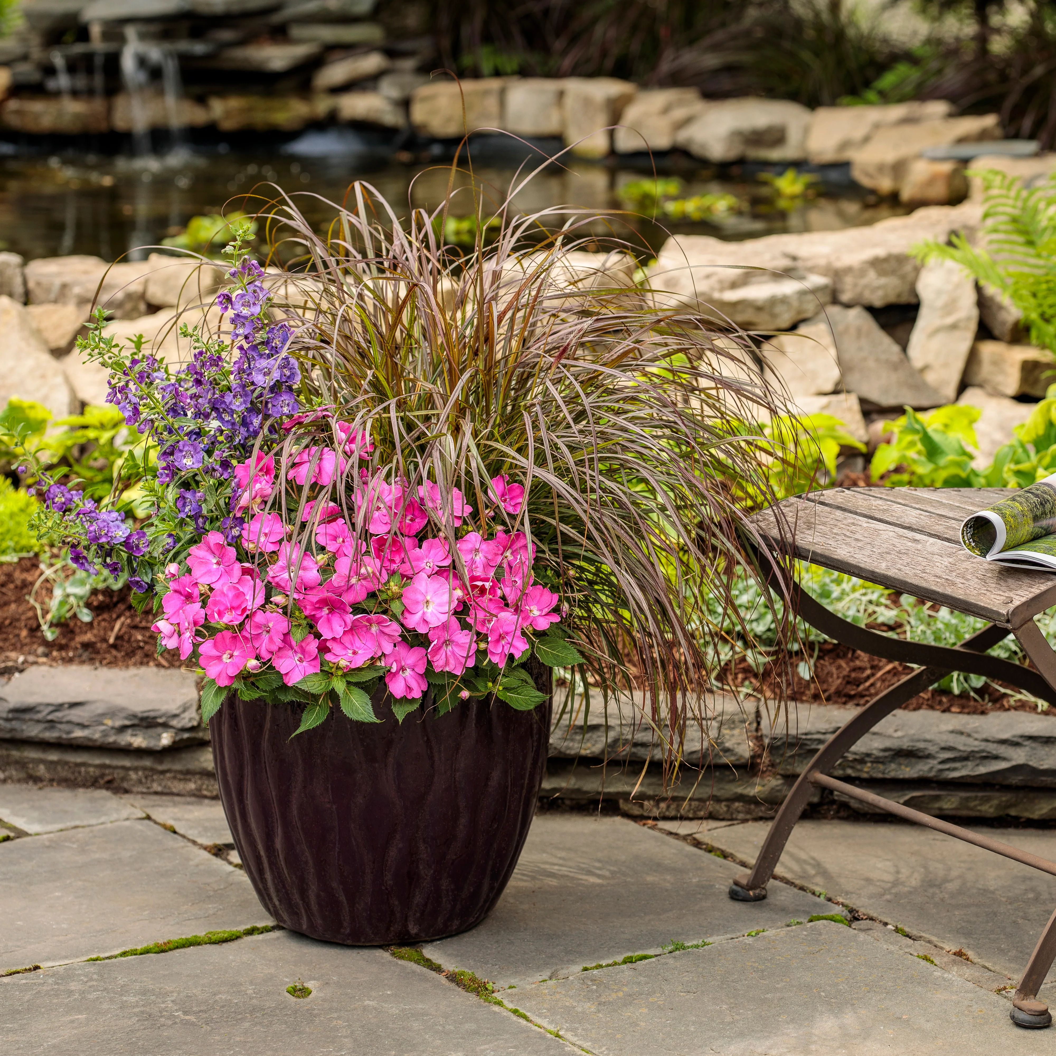 Proven Selections® SunPatiens® Compact Hot Pink Impatiens (x hybrida) - Image 6