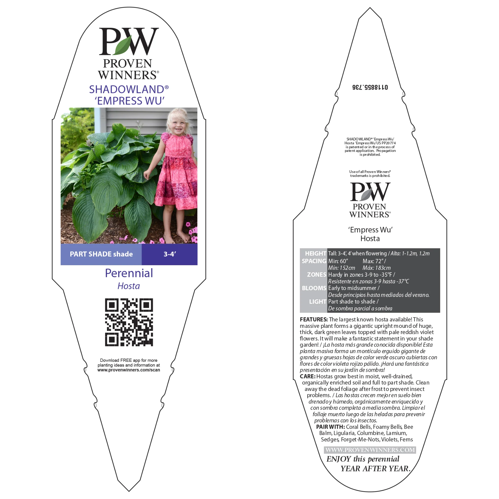 Shadowland® 'Empress Wu' Hosta - Image 8