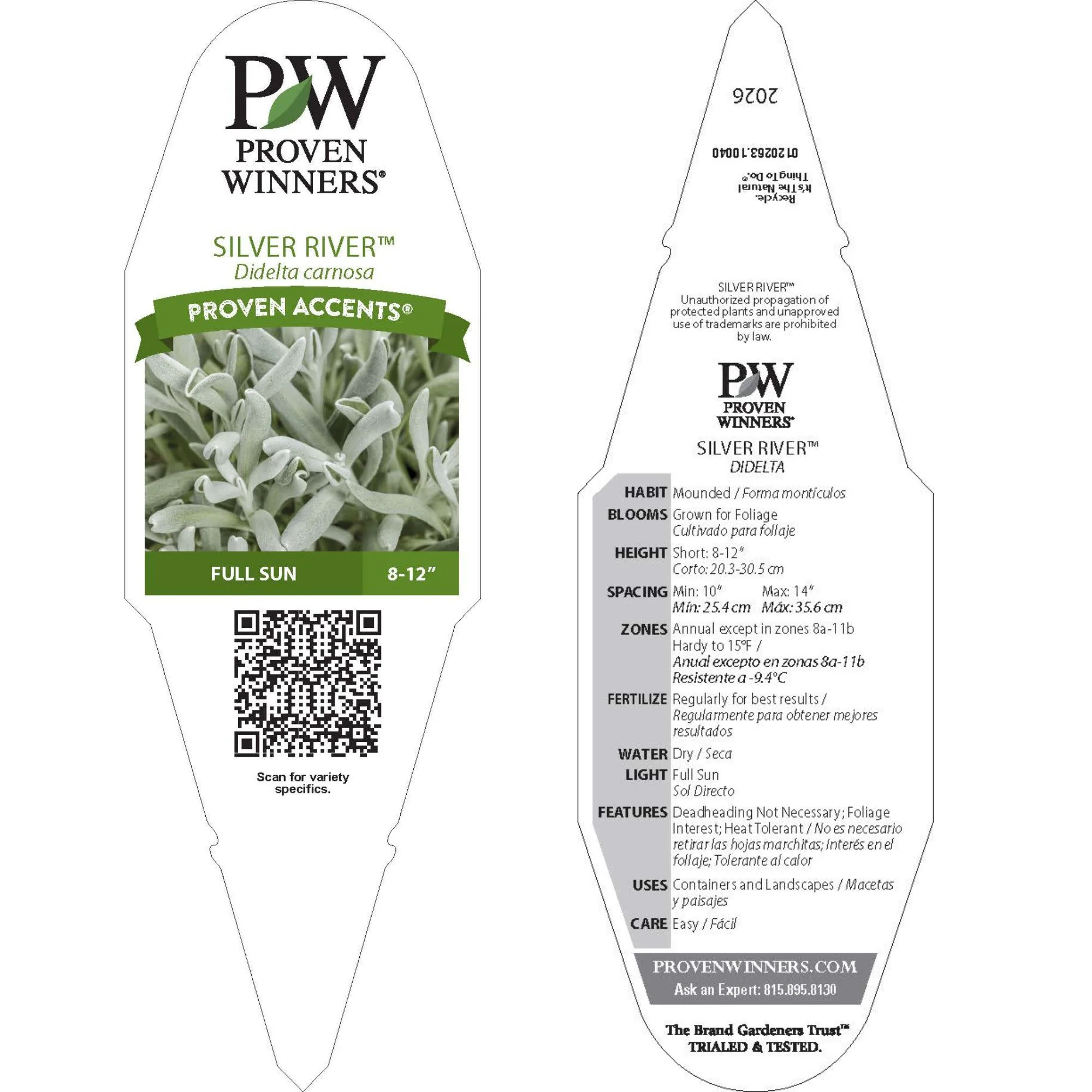 Silver River™ Didelta | Proven Winners® New Variety 2026 - Image 9