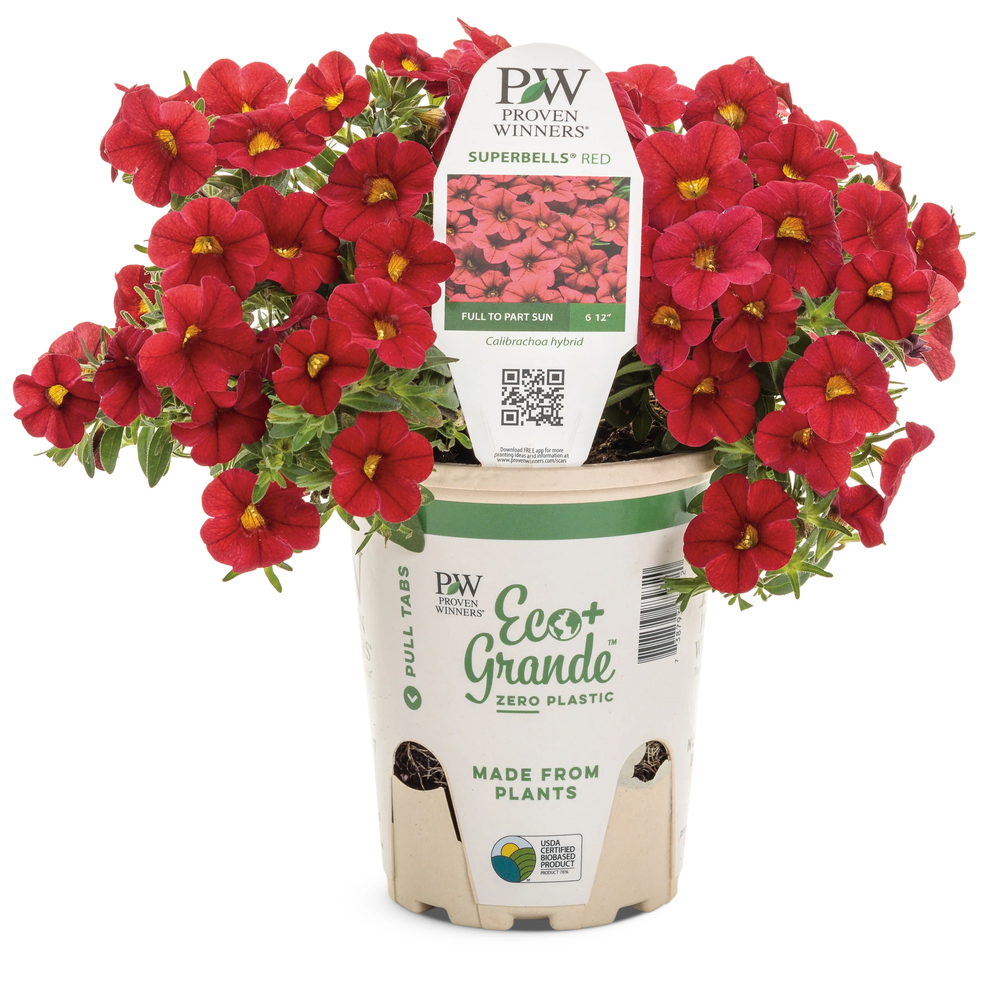 Superbells® Red Calibrachoa - Image 2