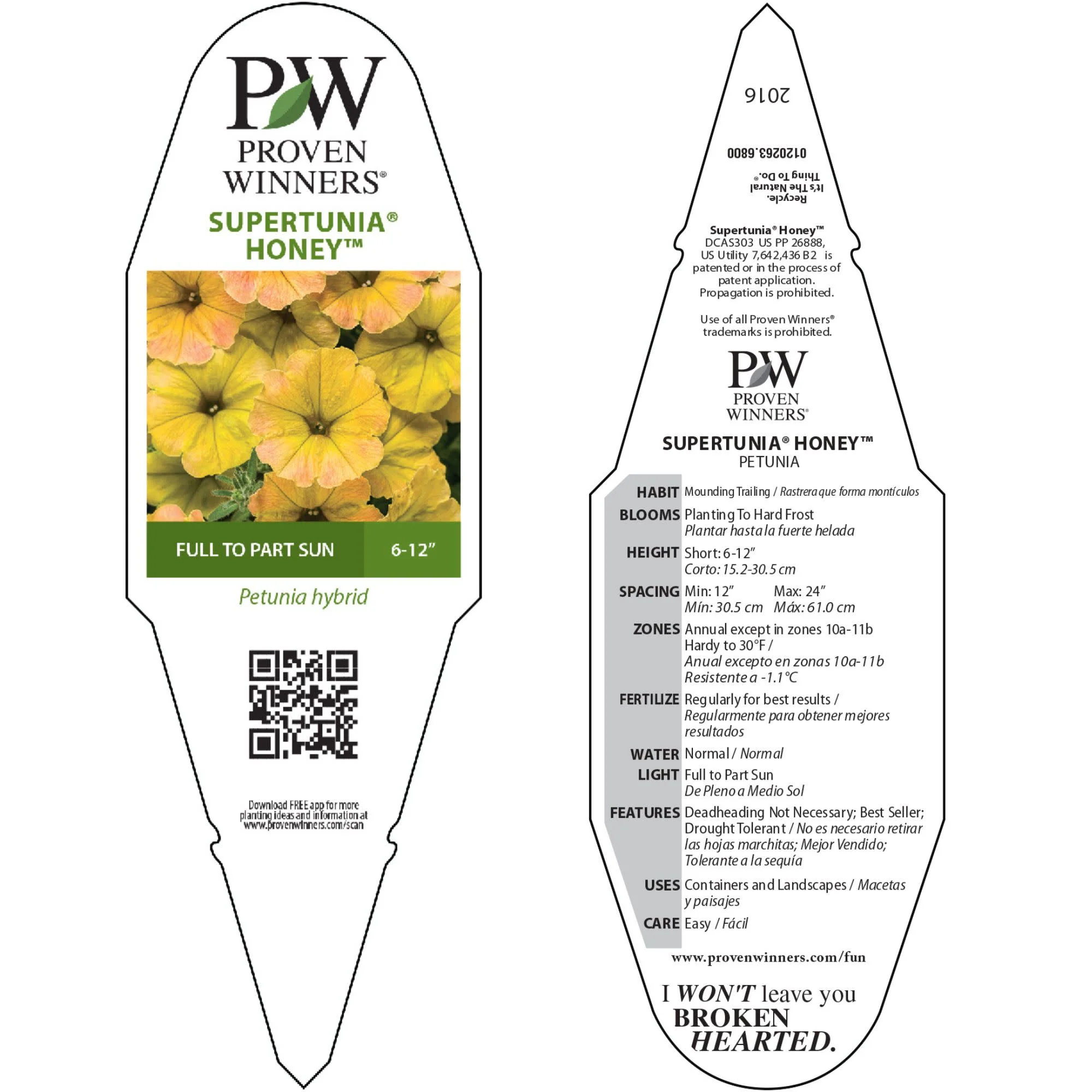 Supertunia® Honey™ Petunia - Image 11