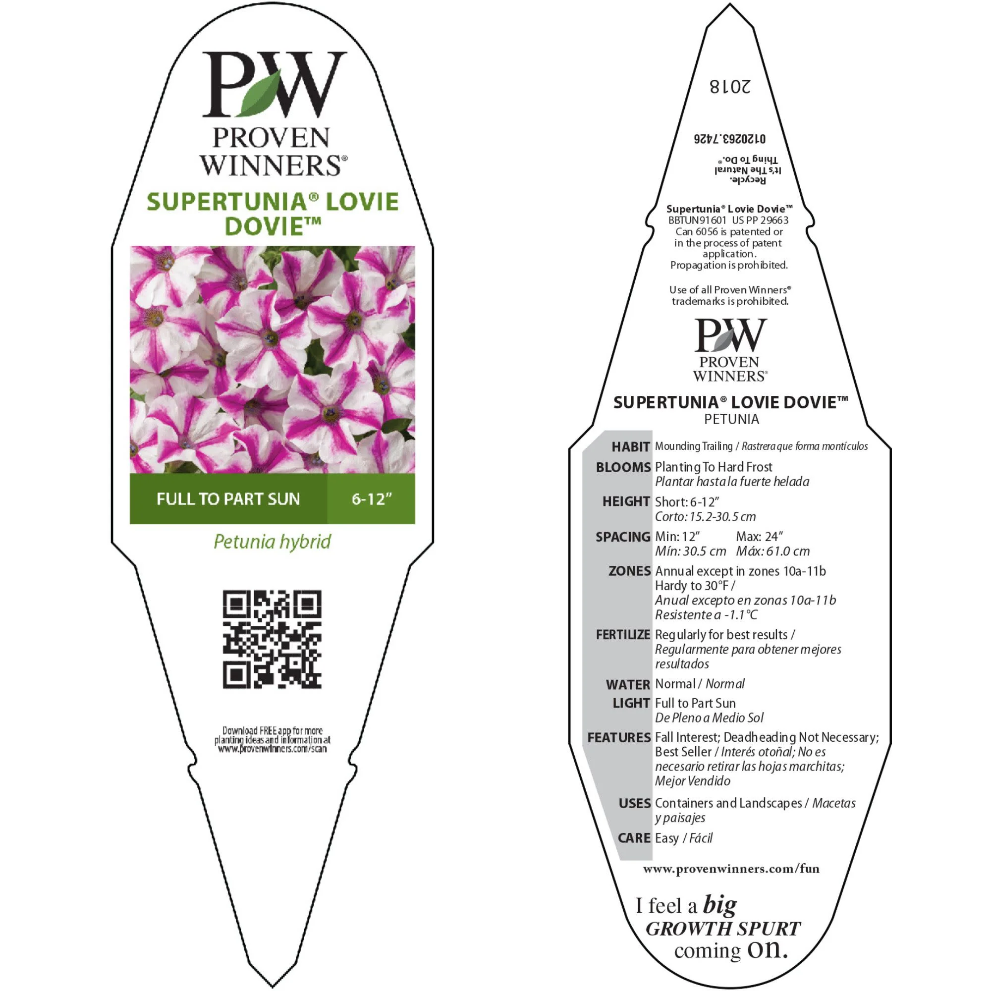 Supertunia® Lovie Dovie™ Petunia - Image 10