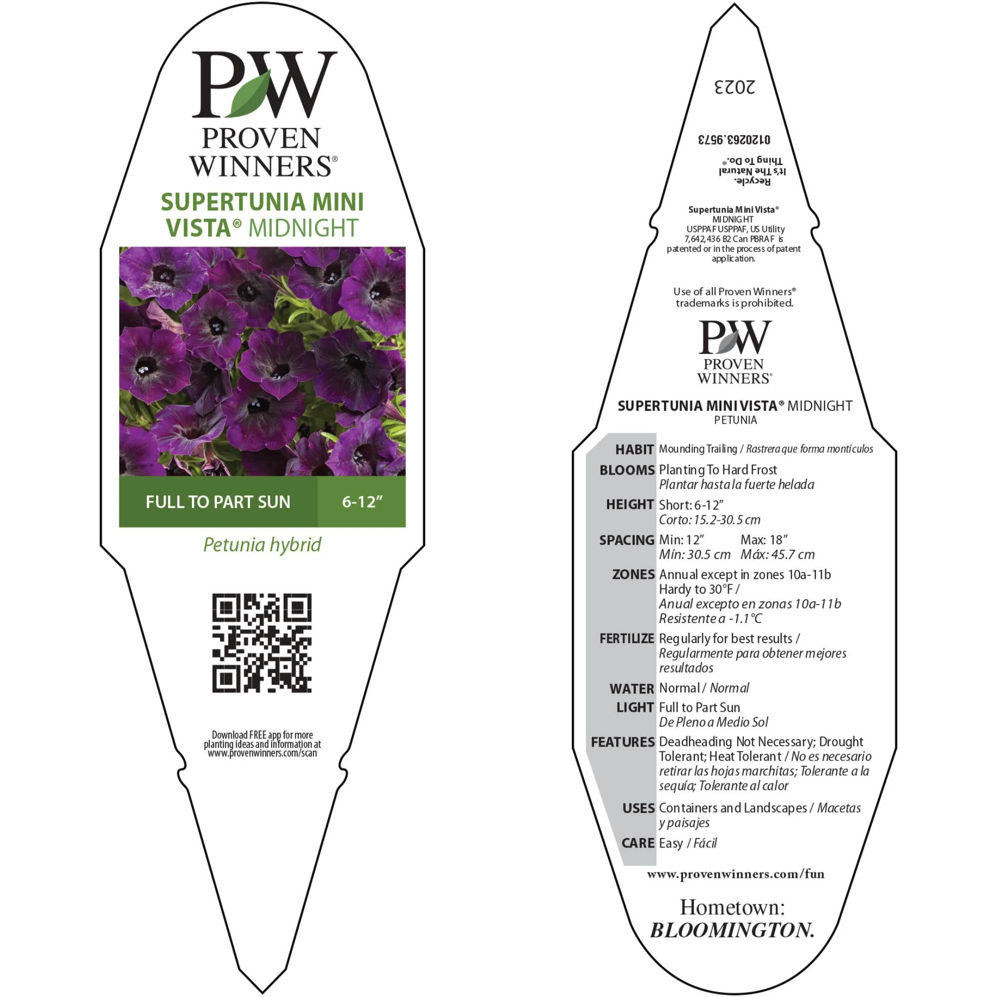 Supertunia Mini Vista® Midnight Petunia - Image 10
