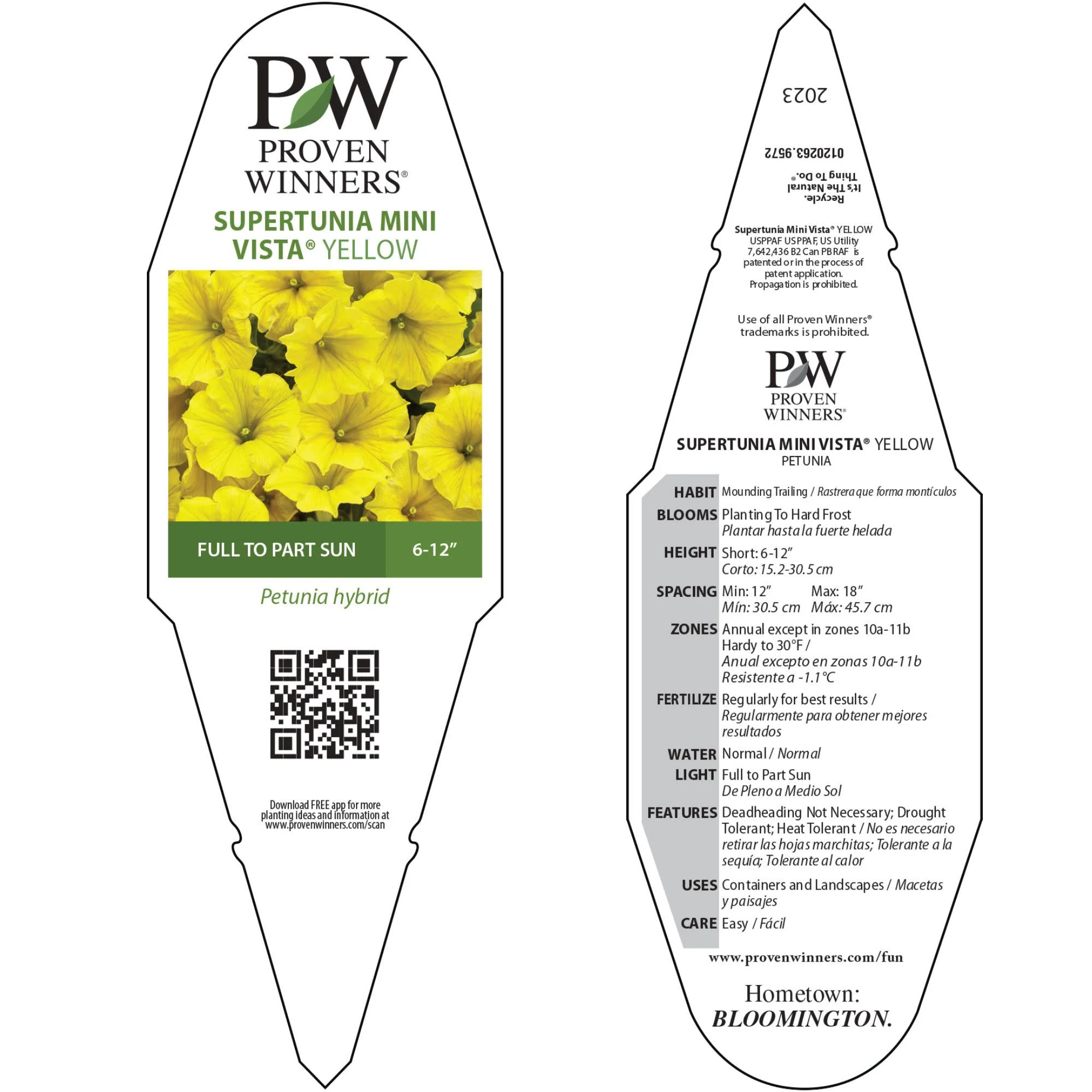 Supertunia Mini Vista® Yellow Petunia - Image 11