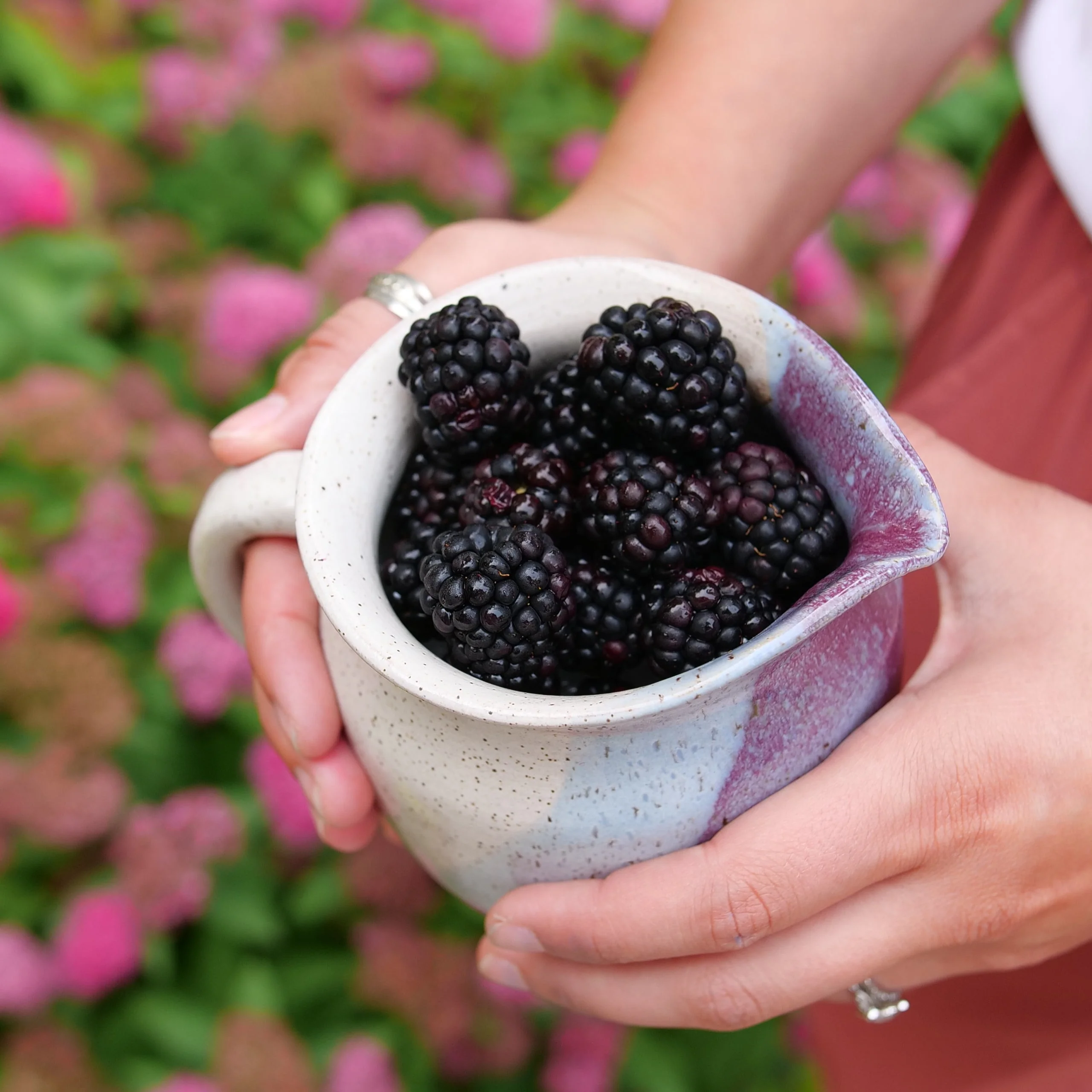 Taste of Heaven® Thornless Blackberry (Rubus ponca) - Image 7