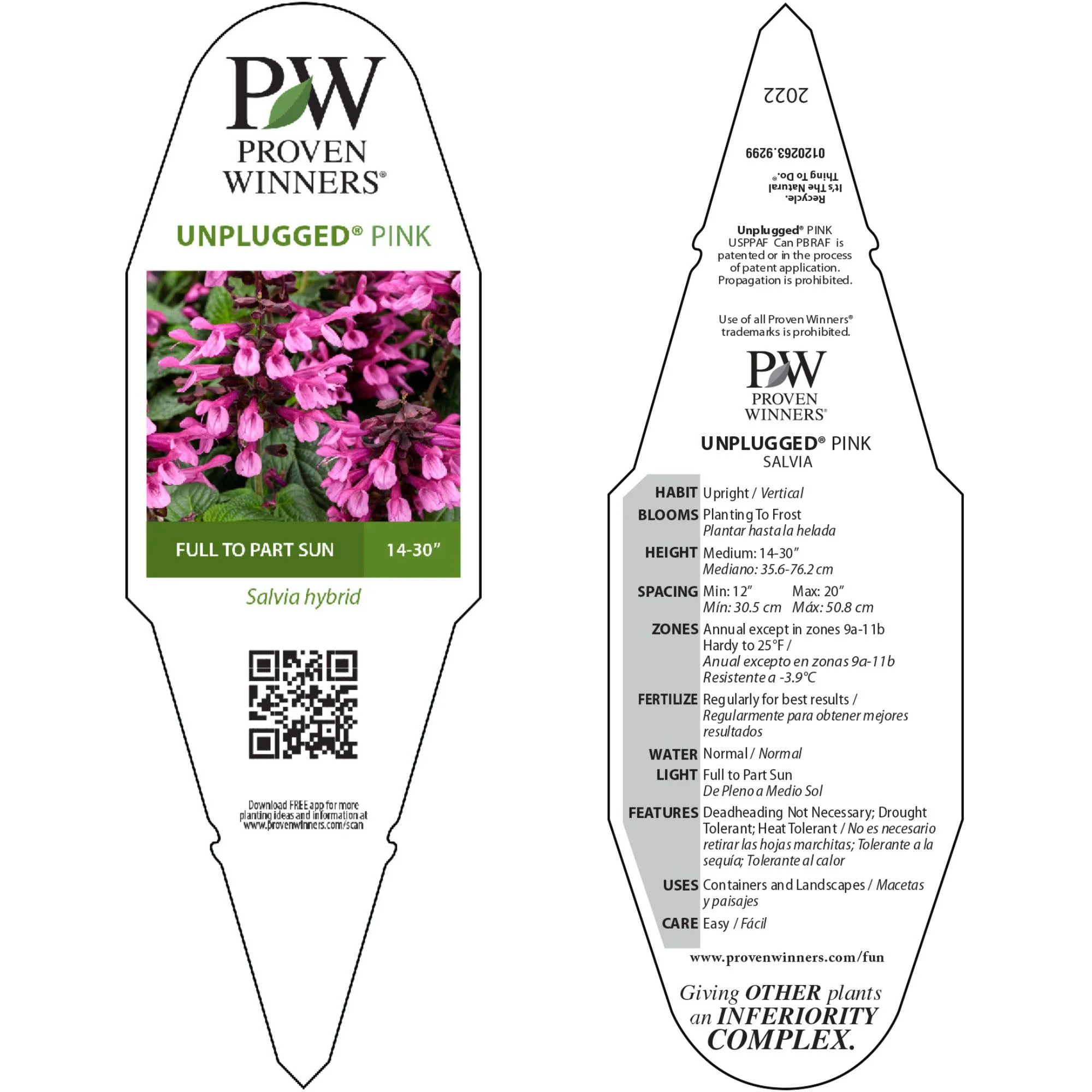 Unplugged® Pink Salvia - Image 11